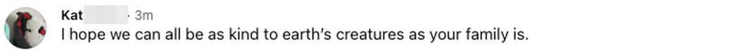 Facebook comment: I hope we can all be as kind to earth's creatures as your family is.