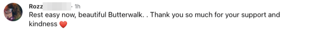 Facebook comment: Rest easy now, beautiful Butterwalk. Thank you so much for your support and kindness.