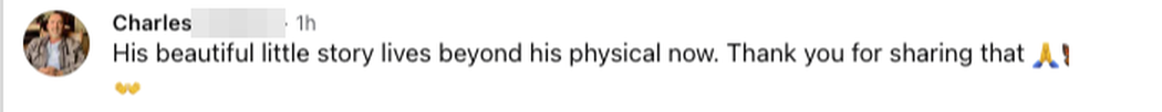 Facebook comment: His beautiful little story lives beyond his physical now. Thank you for sharing that.